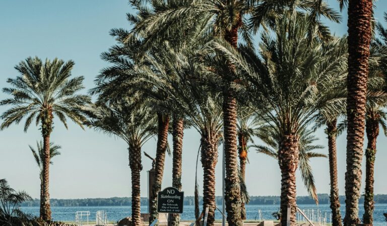 Florida Hurricane Season: What Homeowners Need to Know